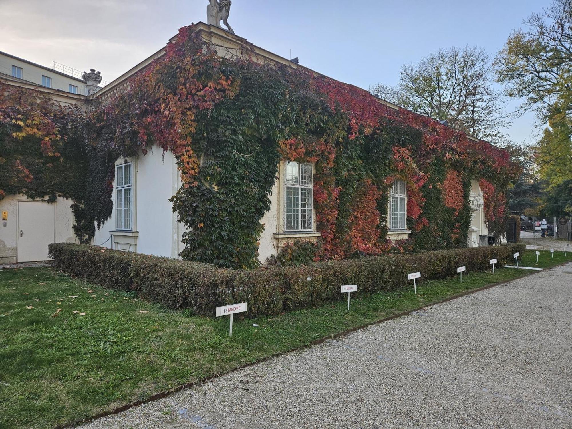 Mauthaus Lichtenstein Hotel apartamentowy *